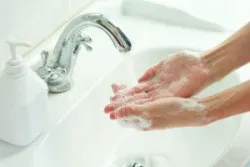 Hướng dẫn sơ cứu nạn nhân bị cắn hoặc đốt