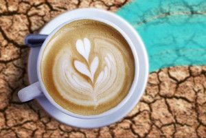 Cà phê có gây mất nước không?