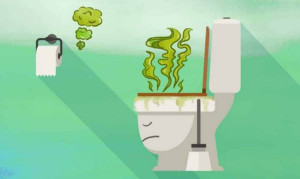 Nguyên nhân nào khiến nước tiểu có mùi lưu huỳnh?