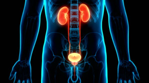 Ung Thư Tuyến Tiền Liệt Có Dẫn đến ung thư thận?