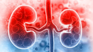 Điều gì xảy ra khi thận ngừng hoạt động?