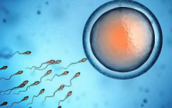 Những điều trẻ vị thành niên cần biết về sức khỏe sinh sản