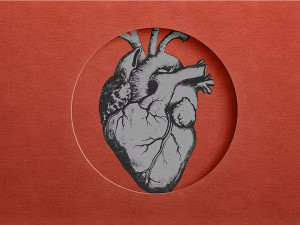 Chèn ép tim: Nguyên nhân, triệu chứng và điều trị