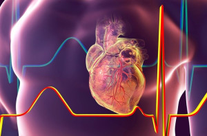 Block tim: Phân loại, nguyên nhân, triệu chứng và điều trị