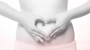 Cholesterol và progesterone ảnh hưởng như thế nào đến khả năng sinh sản và thai kỳ?