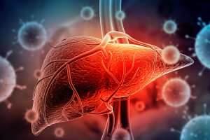 Sức khỏe gan có ảnh hưởng như thế nào đến mức cholesterol?