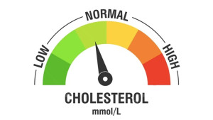 Hạ cholesterol máu (cholesterol thấp): Nguyên nhân, triệu chứng và phương pháp điều trị