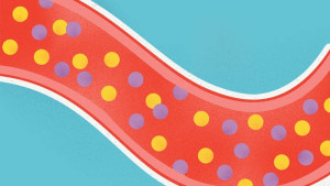 Sự khác nhau giữa triglyceride và cholesterol