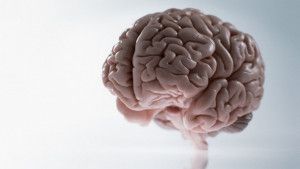 Viêm màng não do giang mai: Triệu chứng, điều trị và biến chứng