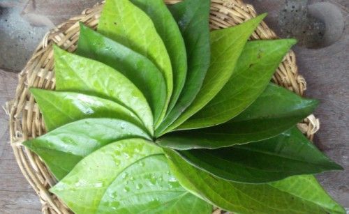 Bài thuốc chữa đau nhức răng cấp tốc tại nhà