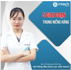 5 GIAI ĐOẠN TRONG NIỀNG RĂNG - CHIA SẺ TỪ BÁC SĨ CHUYÊN GIA TẠI HỆ THỐNG NHA KHOA LẠC VIỆT INTECH