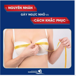 NGUYÊN NHÂN GÂY NGỰC NHỎ VÀ CÁCH KHẮC PHỤC