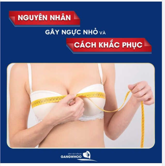 NGUYÊN NHÂN GÂY NGỰC NHỎ VÀ CÁCH KHẮC PHỤC