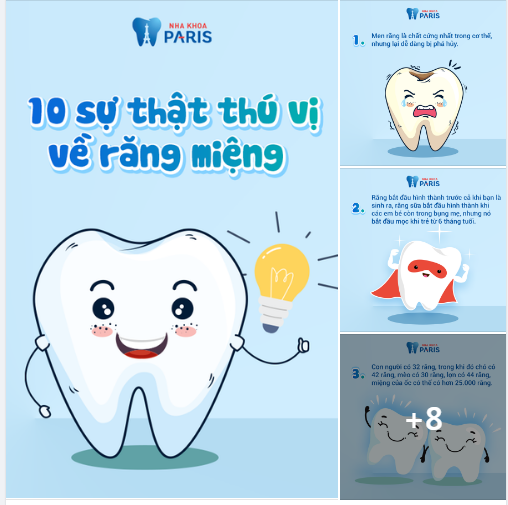 ĐIỀU CÓ THỂ BẠN CHƯA BIẾT VỀ BỘ RĂNG CỦA MÌNH