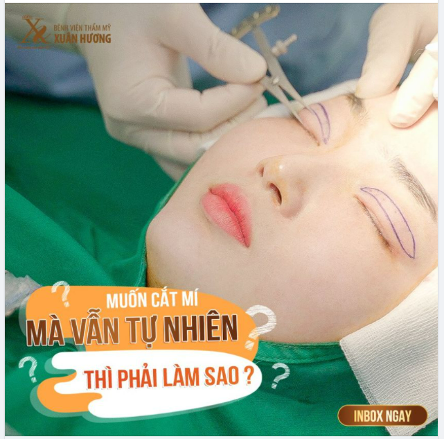 MUỐN CẮT MÍ TỰ NHIÊN PHẢI BIẾT TỶ LỆ MÍ PHÙ HỢP