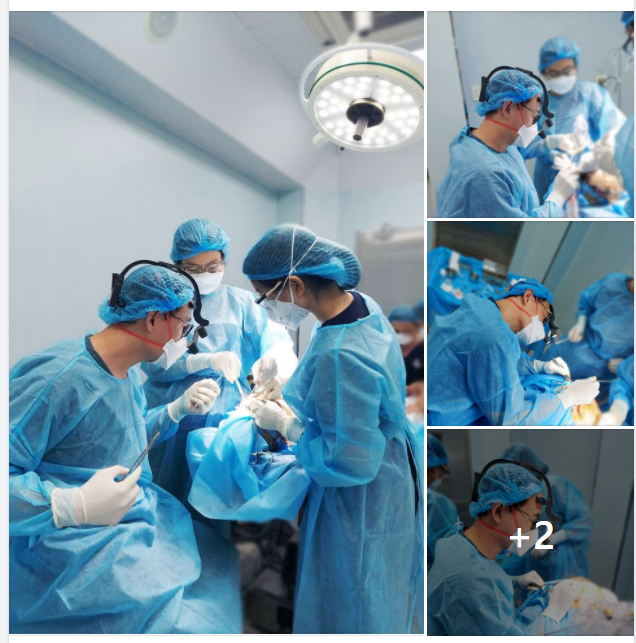 12H - CHUÔNG HỒI VANG NGÂN COMBO MỚI