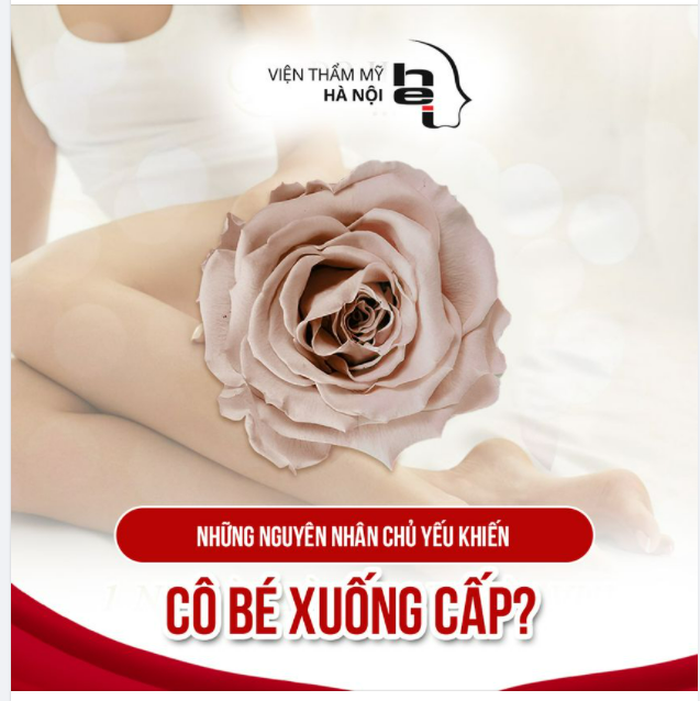 NHỮNG NGUYÊN NHÂN CHỦ YẾU KHIẾN CÔ BÉ XUỐNG CẤP