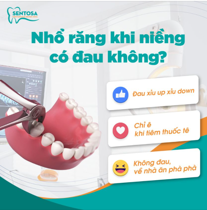 THEO BẠN, NHỔ RĂNG KHI NIỀNG CÓ ĐAU HAY KHÔNG