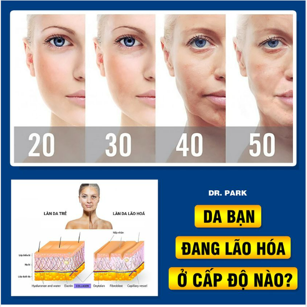 4 CẤP ĐỘ DA LÃO HÓA - BẠN ĐANG GẶP TÌNH TRẠNG NÀO