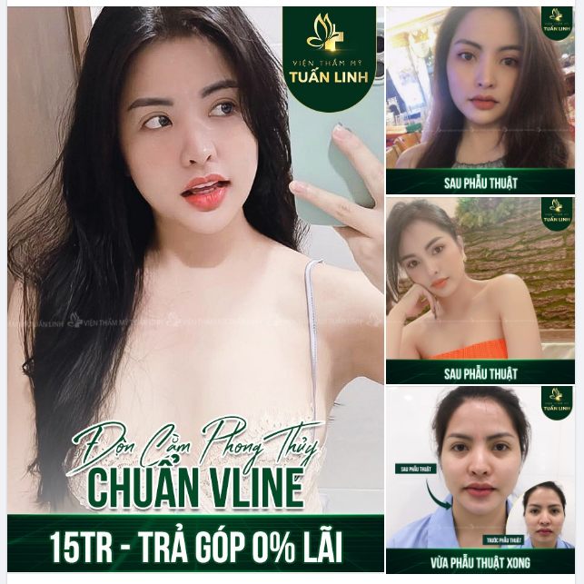 ĐỘN CẰM PHONG THUYE CHUẨN VLINE ĐẸP SANG KHÔNG SẾN