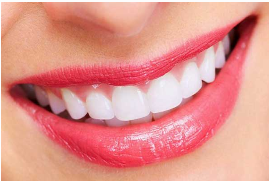 Tướng răng hạt lựu không chỉ đẹp người mà còn đẹp nết
