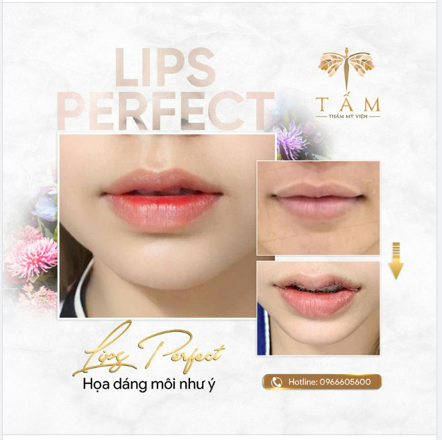 HỌA DÁNG MÔI XINH - LUNG LINH CHÀO TẾT
