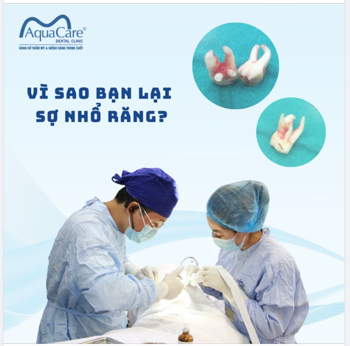 VÌ SAO BẠN LẠI SỢ NHỔ RĂNG