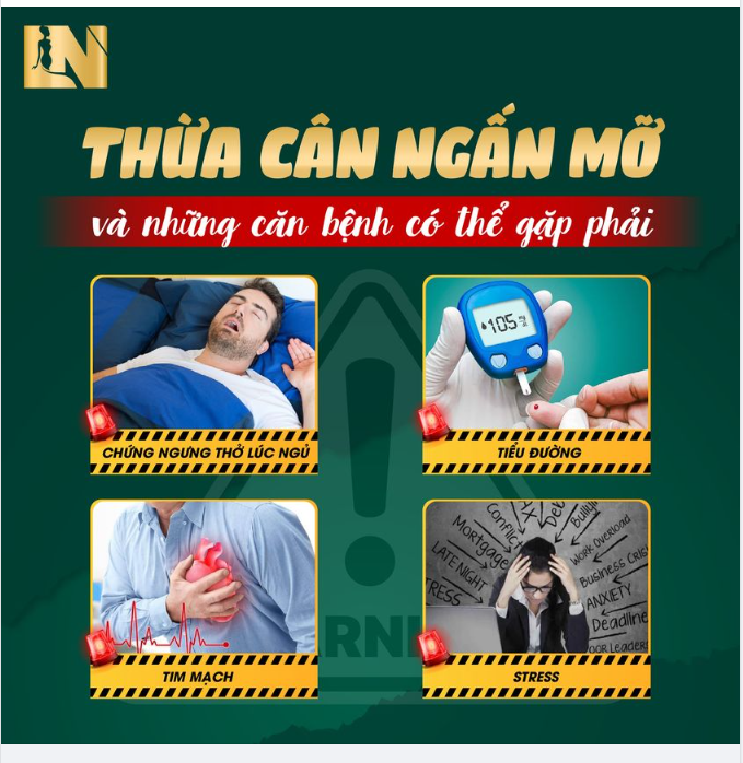 THỪA CÂN NGẤN MỠ VÀ CÁC CĂN BỆNH CÓ THỂ GẶP PHẢI