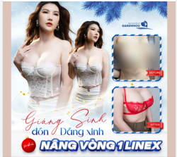 GIÁNG SINH ĐÓN DÁNG XINH VỚI NÂNG VÒNG 1 LINEX