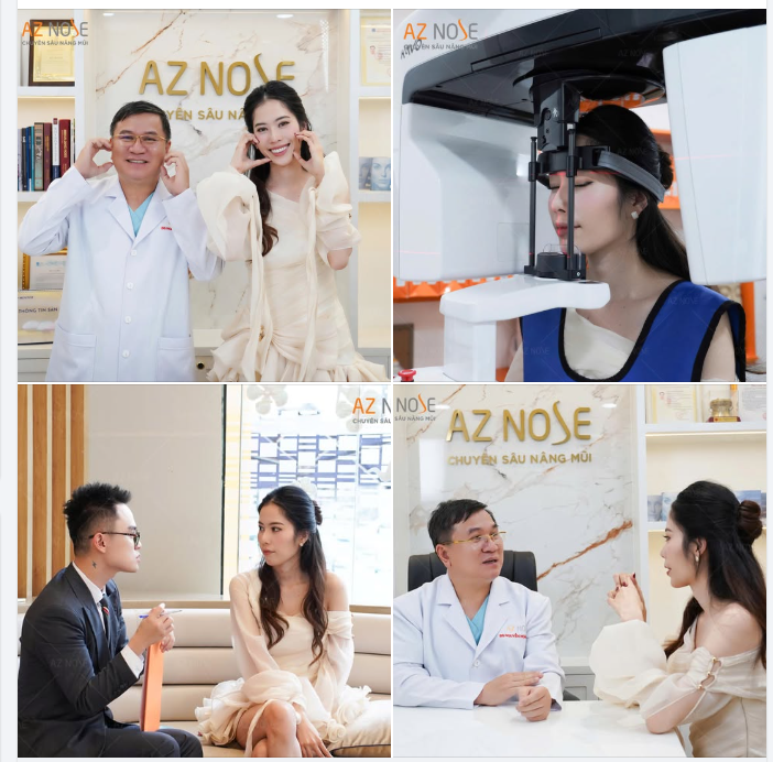 Ca sĩ Nam Em gia nhập đường đua "nâng mũi đón Tết"