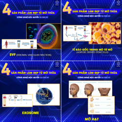 ĐÁNH THỨC VẺ ĐẸP ĐỘC BẢN TỪ CÔNG NGHỆ TÁI SINH MÔ MỠ TỰ THÂN