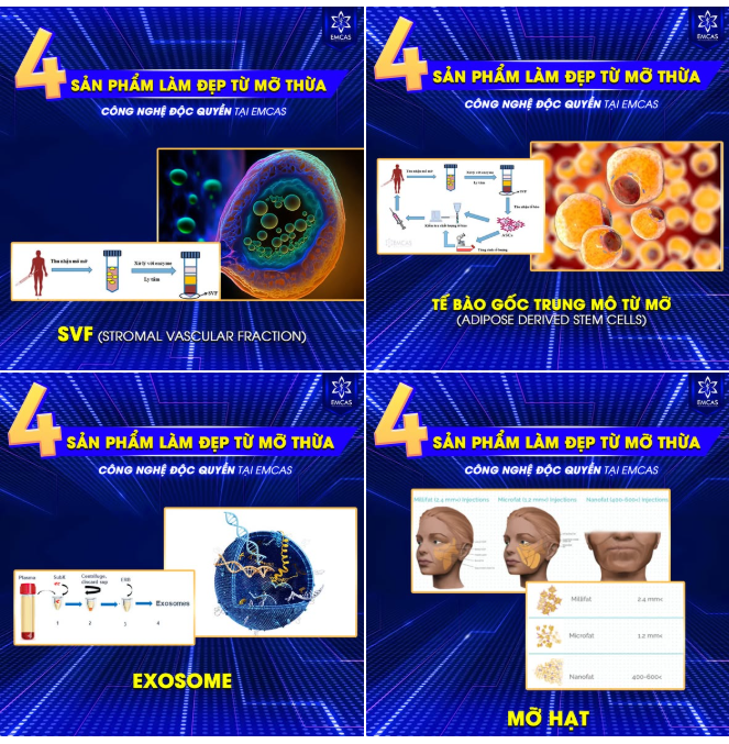 ĐÁNH THỨC VẺ ĐẸP ĐỘC BẢN TỪ CÔNG NGHỆ TÁI SINH MÔ MỠ TỰ THÂN