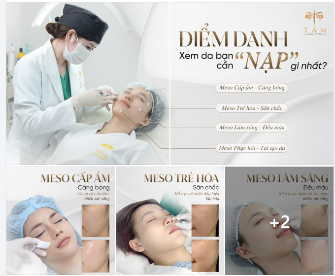 Có một sự thật là Meso có vô vàn công dụng khác nhau chứ không chỉ gói gọn trong một mục đích.