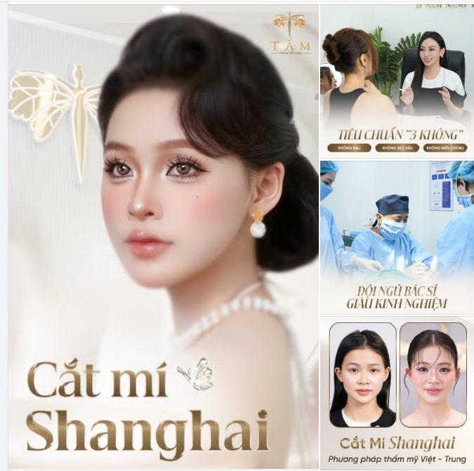 CẮT MÍ SHANGHAI - PHƯƠNG PHÁP THẨM MỸ VIỆT - TRUNG