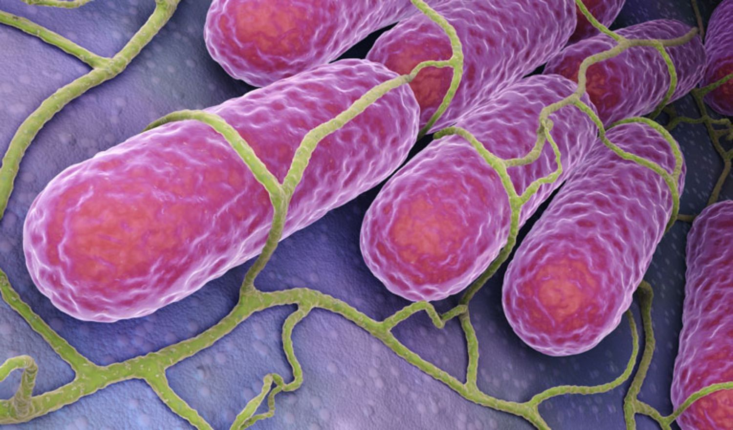 10 cách hiệu quả nhất để tiêu diệt vi khuẩn gây mụn