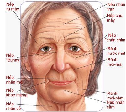 cac nep nhan khuon mat
