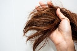 Làm thế nào để biết tóc chắc khỏe hay hư tổn?