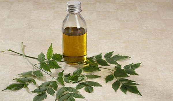 Các lợi ích của dầu neem đối với mái tóc