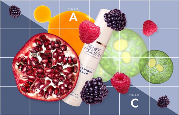 Các Thành Phần Chống Oxy Hóa Trong Sản Phẩm Chăm Sóc Da