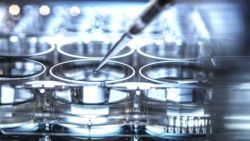 Cảnh Báo Về Các Sản Phẩm Chứa Tế Bào Gốc Và Exosome