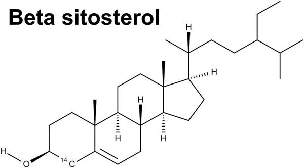 Beta-Sitosterol – Thành Phần Dưỡng Ẩm Lý Tưởng Cho Da Khô