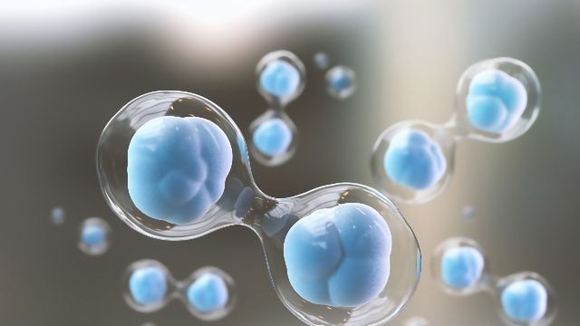 Sự Lão Hóa Tế Bào Có Tác Động Thế Nào Đến Da?