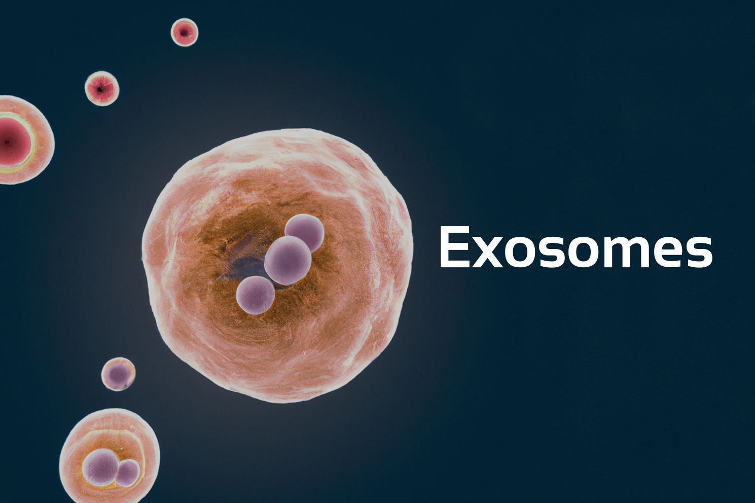 Exosomes