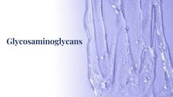 Tác Dụng Của Glycosaminoglycan Trong Da Và Các Sản Phẩm Chăm Sóc Da