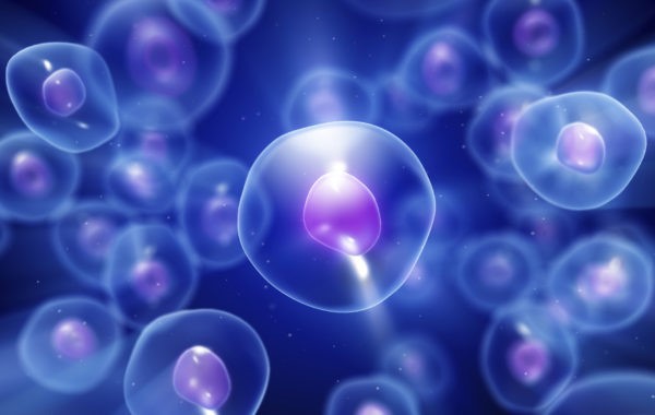 Túi Ngoại Bào (extracular vesicles) Có Thực Sự Có Tác Dụng Chống Lão Hóa Da?