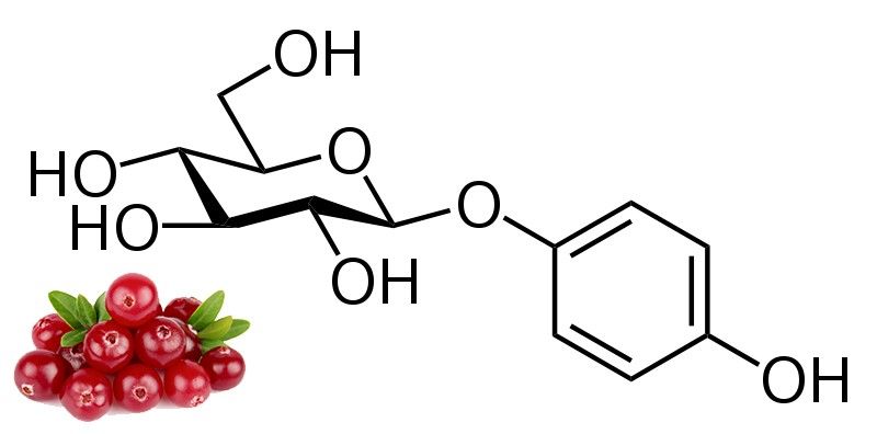 arbutin 1