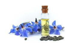 Dầu Lưu Ly (Borage Oil) Có Những Lợi Ích Gì Cho Da?