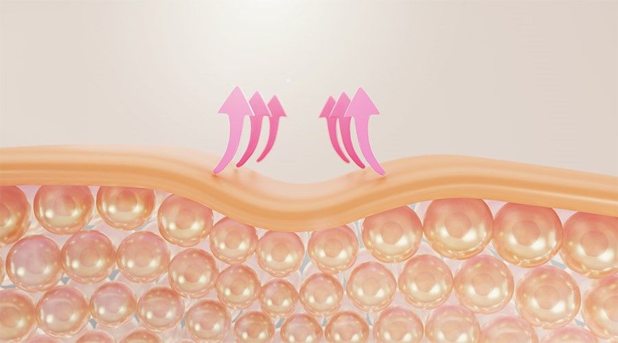 EGF la thanh phan co tac dung trong viec kich thich cau truc te bao moi