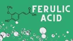 Axit Ferulic Là Gì? Có Những Lợi Ích Gì Cho Da?