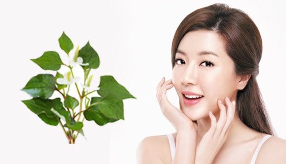 mặt nạ rau diếp cá, mặt nạ diếp cá trị mụn ẩn